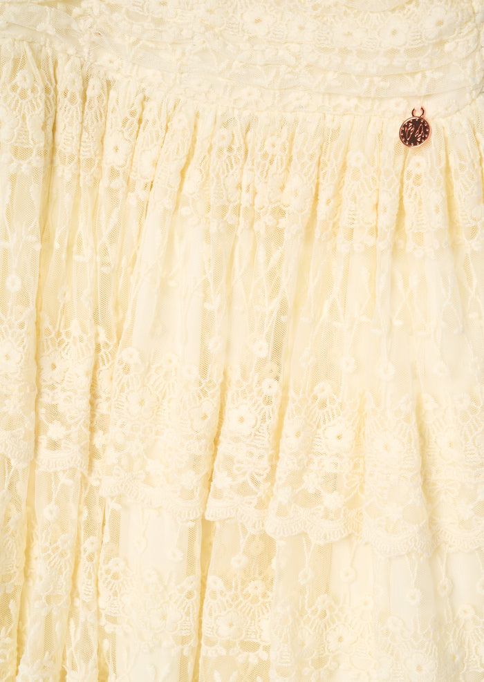 Annabelle Vintage Lace Mesh Dress