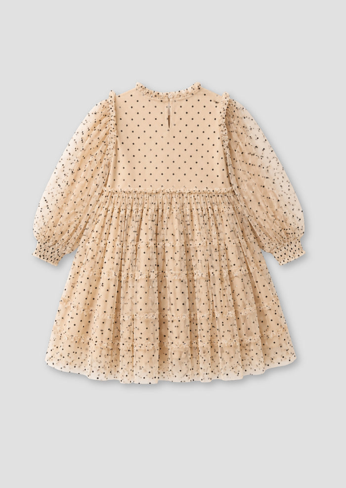 Anya Embroidered Mesh Dress