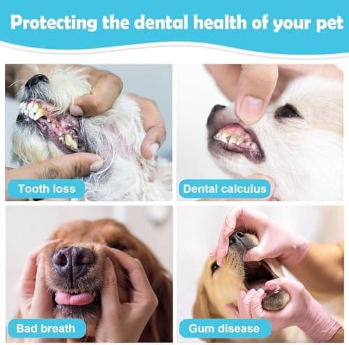 Pet Toothbrush 4 Pack Dog Toothbrush Kit Toothbrush Pet Clever