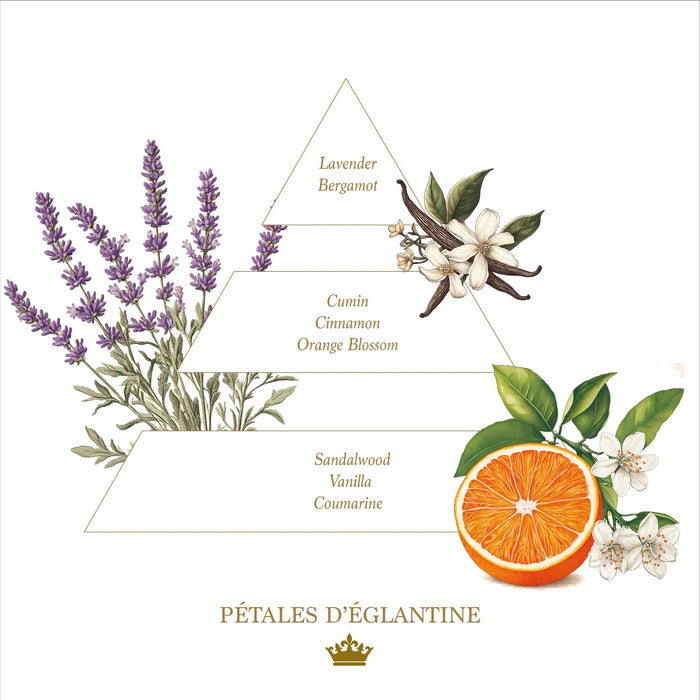Eclectic fragrance pyramid illustration for Petales d'Eglantine featuring lavender, orange blossom, and sandalwood.
