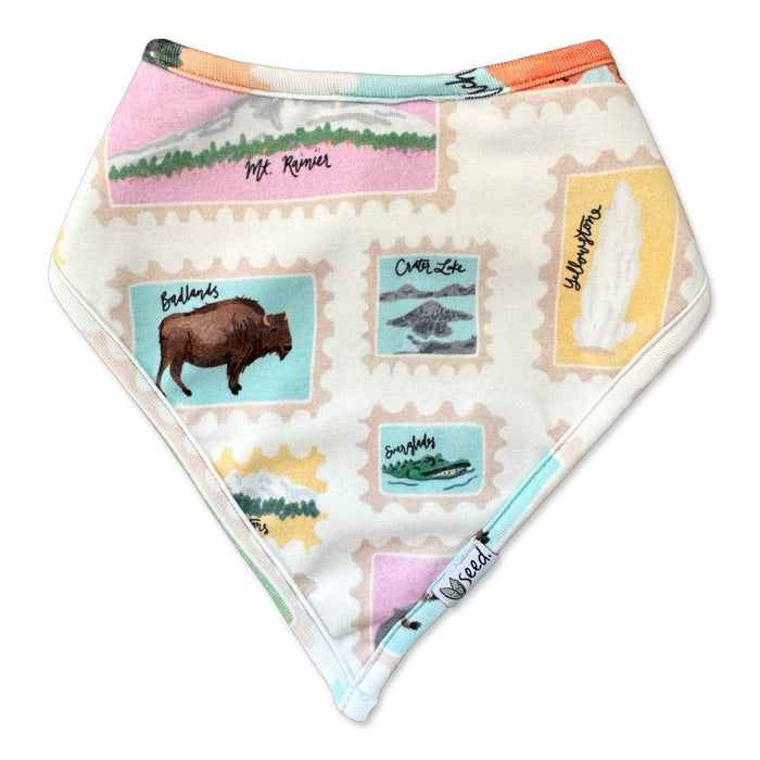 Road Trip Bandana Bib