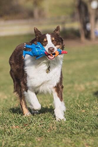 11.5-Inch Latex Polka Dot Globken Chicken Dog Toy Dog Toys Pet Clever