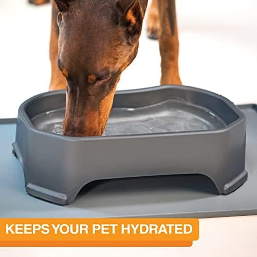 1.25 Gallon Capacity, 160 oz Extra Large Water Bowl for Dogs Dog Bowls & Feeders Pet Clever
