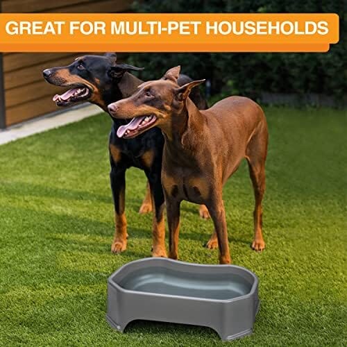 1.25 Gallon Capacity, 160 oz Extra Large Water Bowl for Dogs Dog Bowls & Feeders Pet Clever