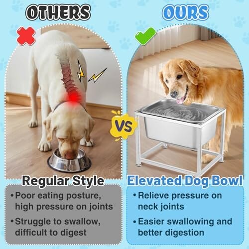 3 Gallons Large Elevated Dog Water Bowl - 11.5'' H Sturdy Stainless Steel Raised Dog Bowl with Stand Dog Bowls & Feeders Pet Clever