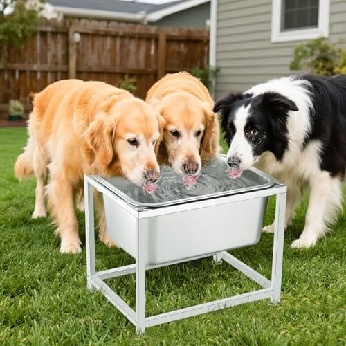 3 Gallons Large Elevated Dog Water Bowl - 11.5'' H Sturdy Stainless Steel Raised Dog Bowl with Stand Dog Bowls & Feeders Pet Clever