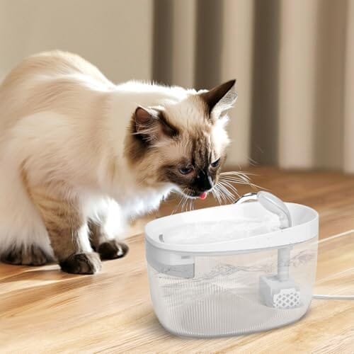 74oz/2.2L Cat Water Fountain, Automatic Indoor Pet Fountain Cat Water Dispenser with Ultra Quiet Pump Dog Bowls & Feeders Pet Clever