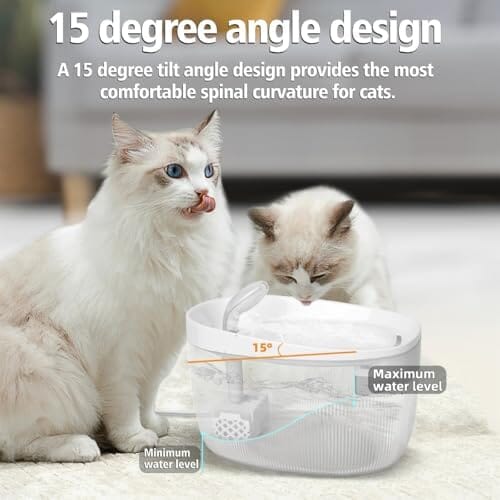 74oz/2.2L Cat Water Fountain, Automatic Indoor Pet Fountain Cat Water Dispenser with Ultra Quiet Pump Dog Bowls & Feeders Pet Clever