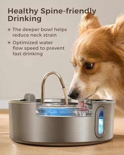 7L/236oz Stainless Steel Dog Water Bowl Dispenser Dog Bowls & Feeders Pet Clever