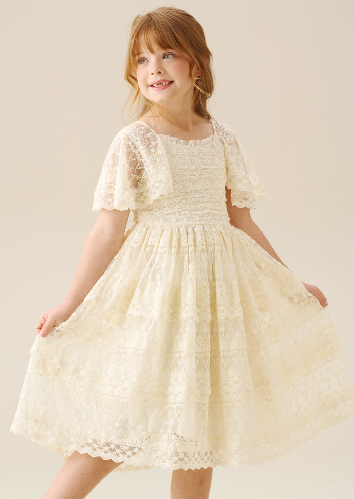 Annabelle Vintage Lace Mesh Dress