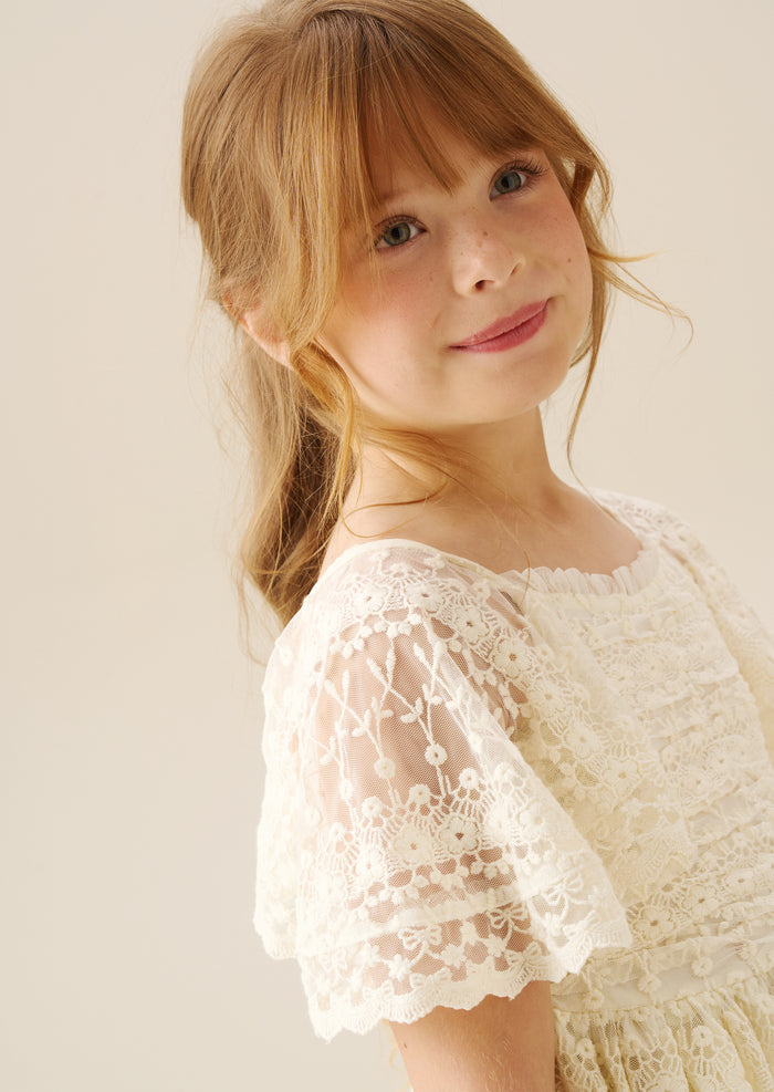 Annabelle Vintage Lace Mesh Dress