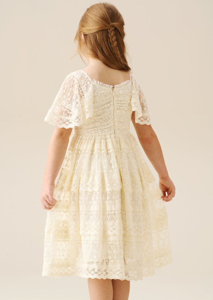 Annabelle Vintage Lace Mesh Dress