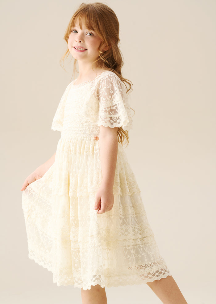 Annabelle Vintage Lace Mesh Dress