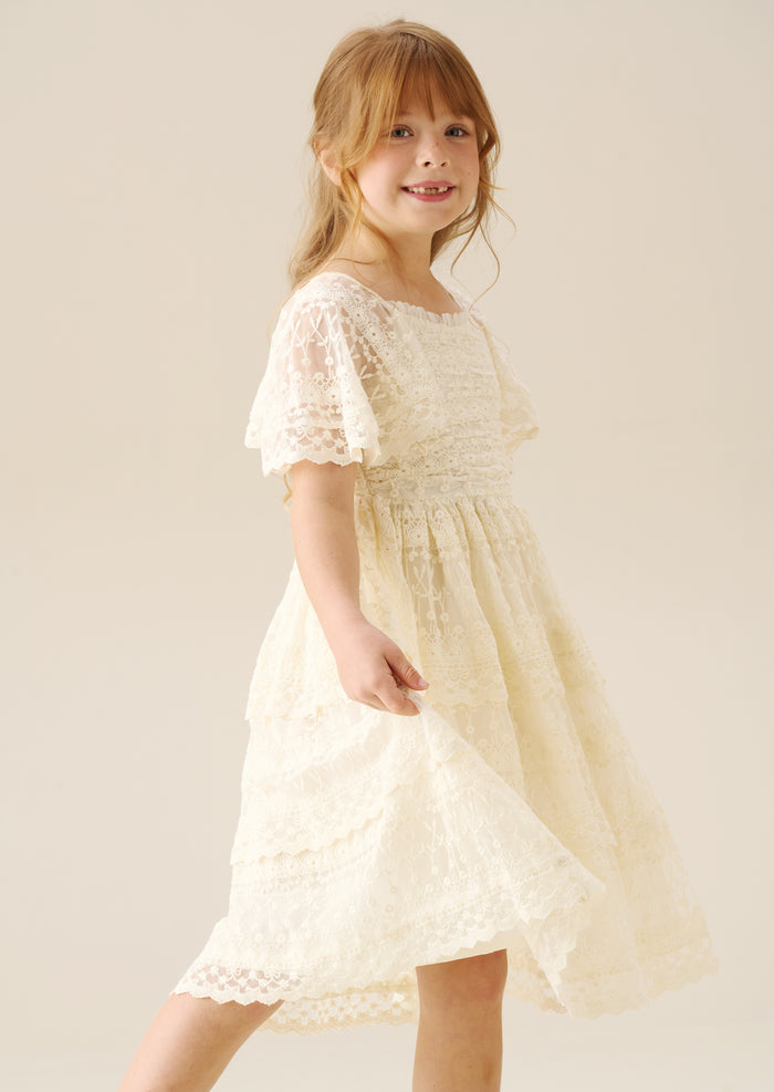 Annabelle Vintage Lace Mesh Dress