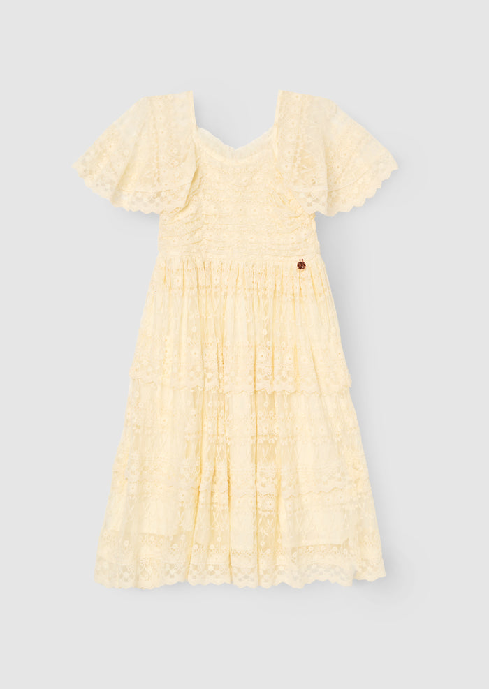 Annabelle Vintage Lace Mesh Dress