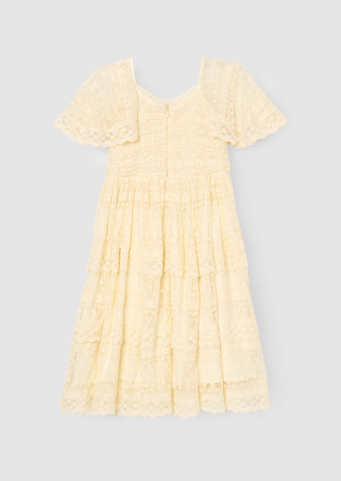 Annabelle Vintage Lace Mesh Dress