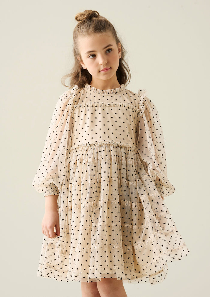 Anya Embroidered Mesh Dress