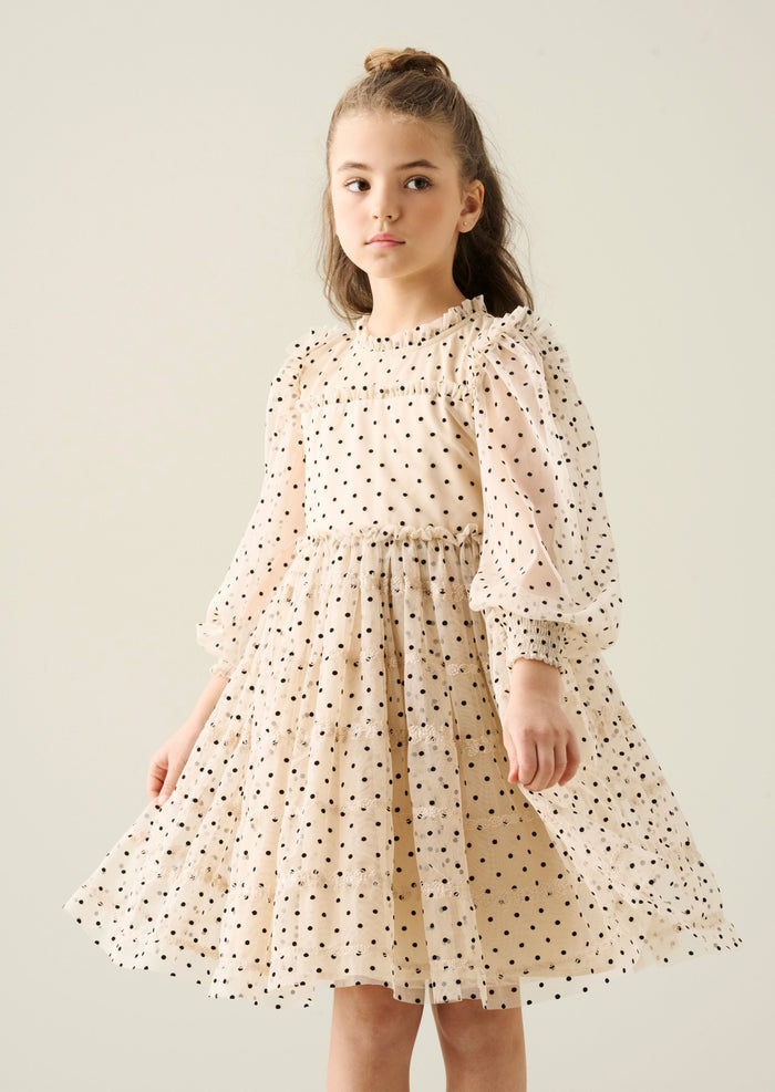 Anya Embroidered Mesh Dress