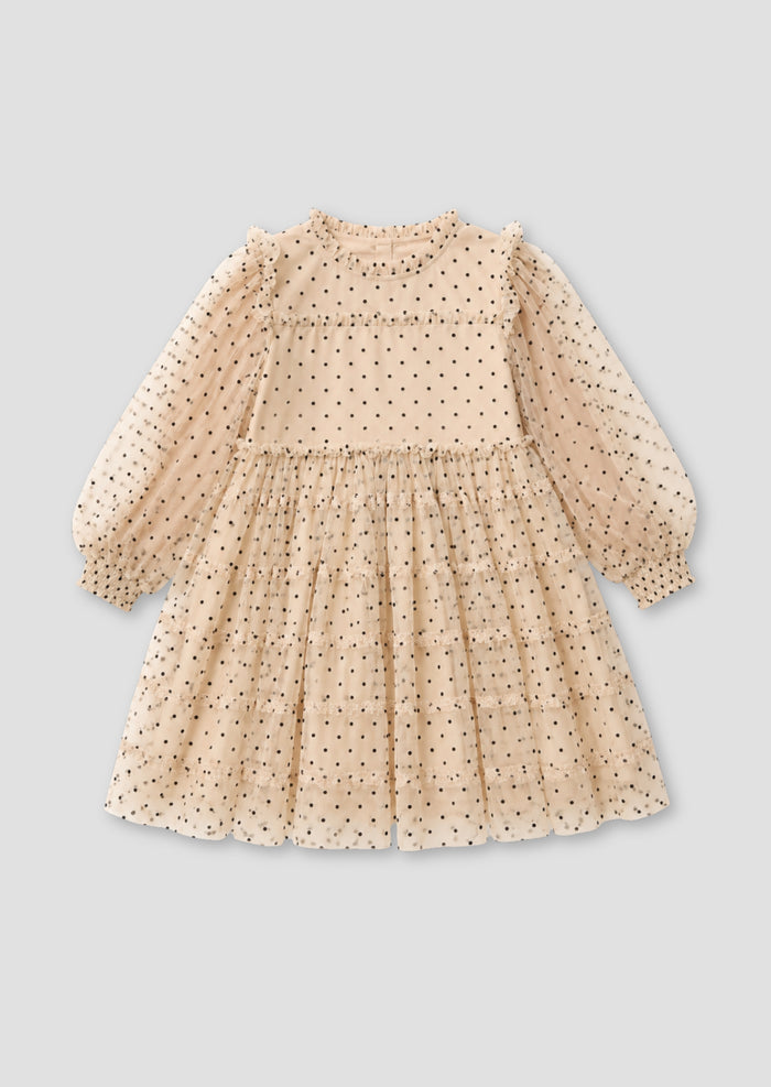 Anya Embroidered Mesh Dress