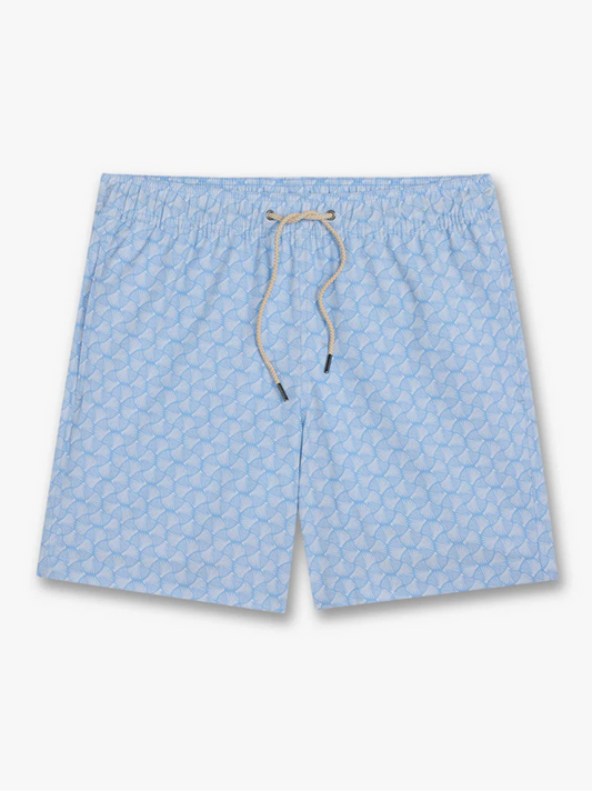 Bayberry Trunk - Sky Blue Shells