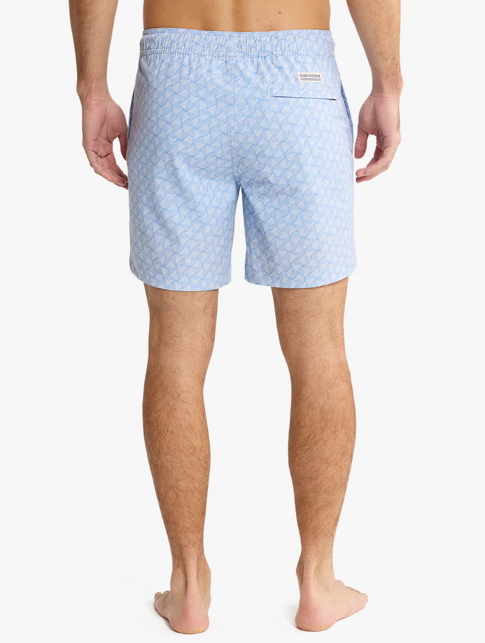Bayberry Trunk - Sky Blue Shells