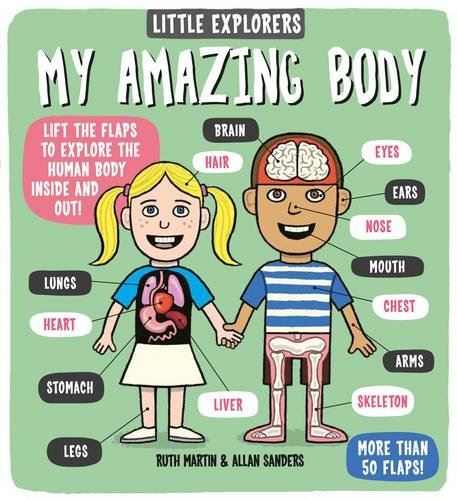 Book - My Amazing Body (Board)
