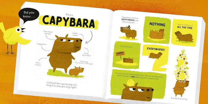 Book - Pincho: Nothing Is Possible - Spread 01