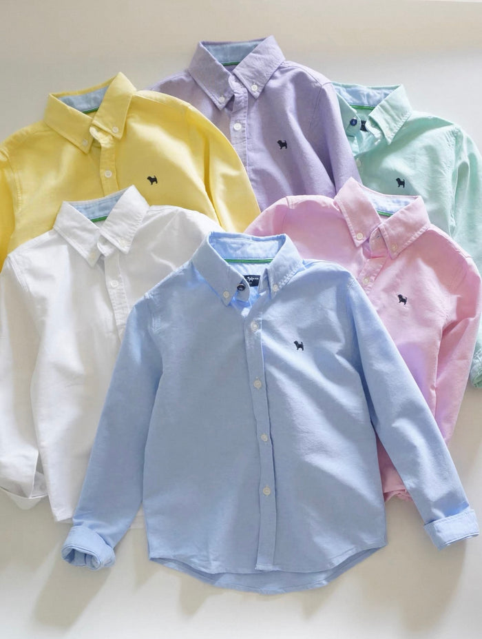 Collection of colorful button-up shirts on a light background