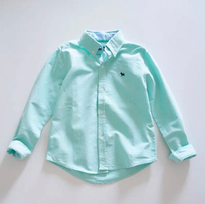 Light blue button-up shirt on a white background