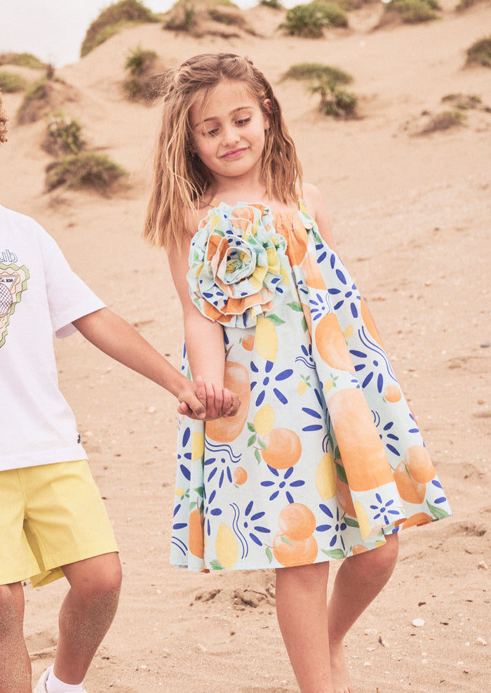 Carrie Multi Print Swing Corsage Dress