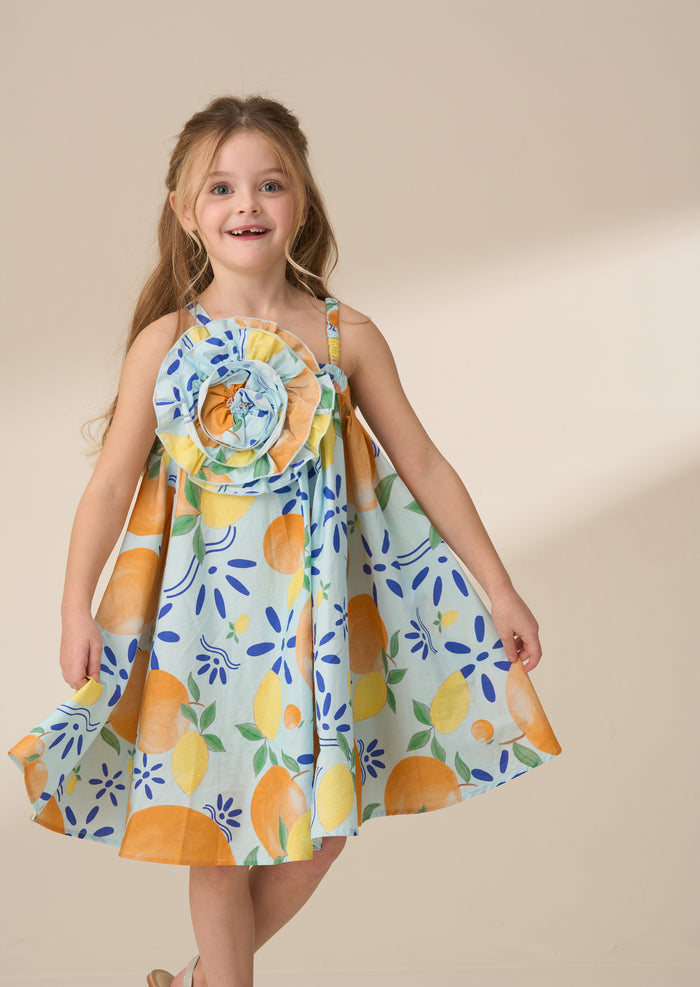 Carrie Multi Print Swing Corsage Dress