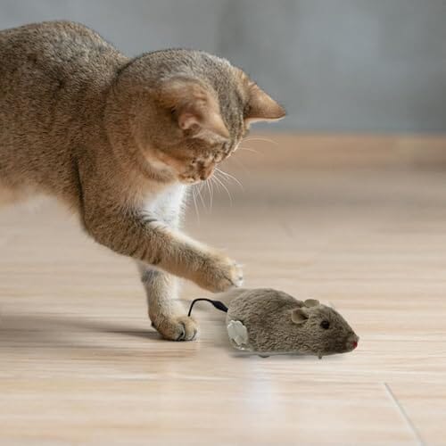 Cat Toy Realistic Mouse Shape Entertaining Toy Cat Toys Pet Clever