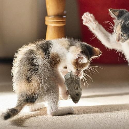 Cat Toy Realistic Mouse Shape Entertaining Toy Cat Toys Pet Clever