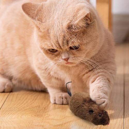 Cat Toy Realistic Mouse Shape Entertaining Toy Cat Toys Pet Clever