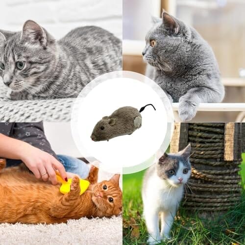 Cat Toy Realistic Mouse Shape Entertaining Toy Cat Toys Pet Clever