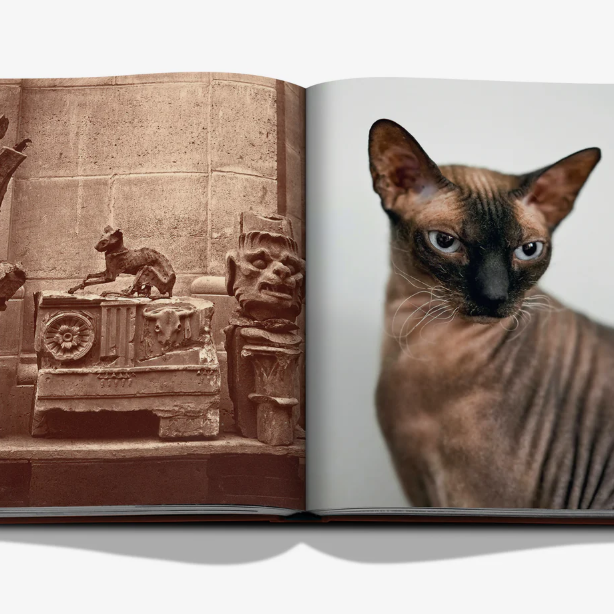 Chic Cats Book