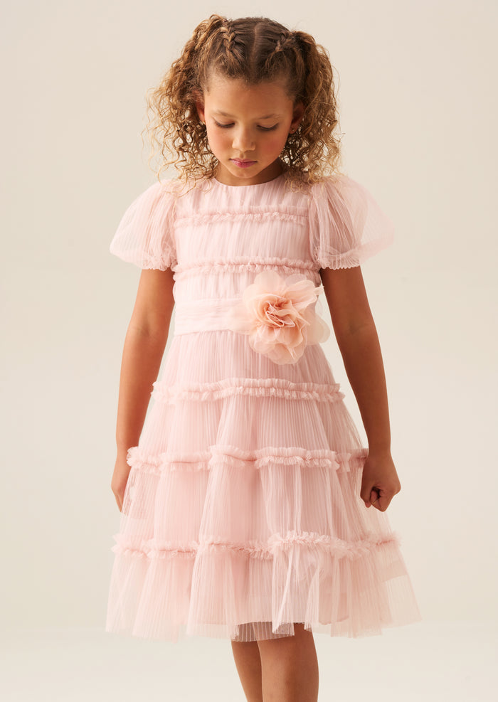 Clara Pink Pleated Mesh Corsage Dress