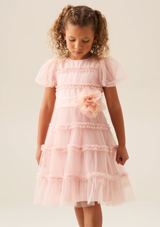 Clara Pink Pleated Mesh Corsage Dress
