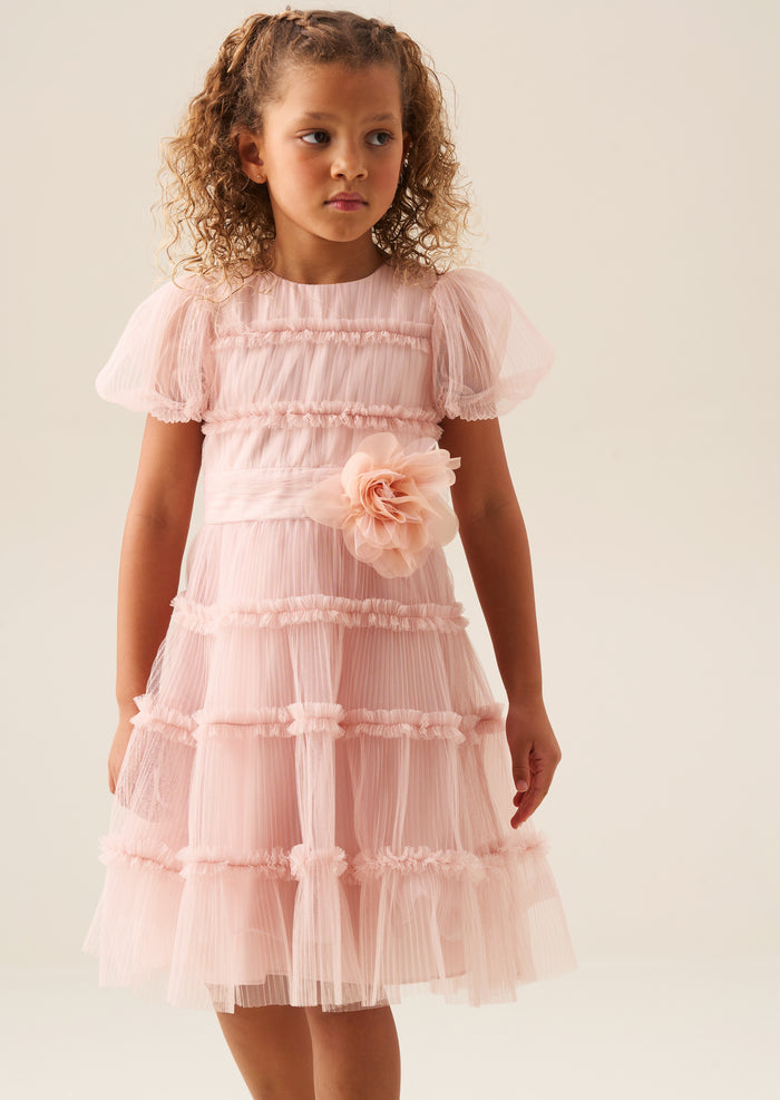 Clara Pink Pleated Mesh Corsage Dress