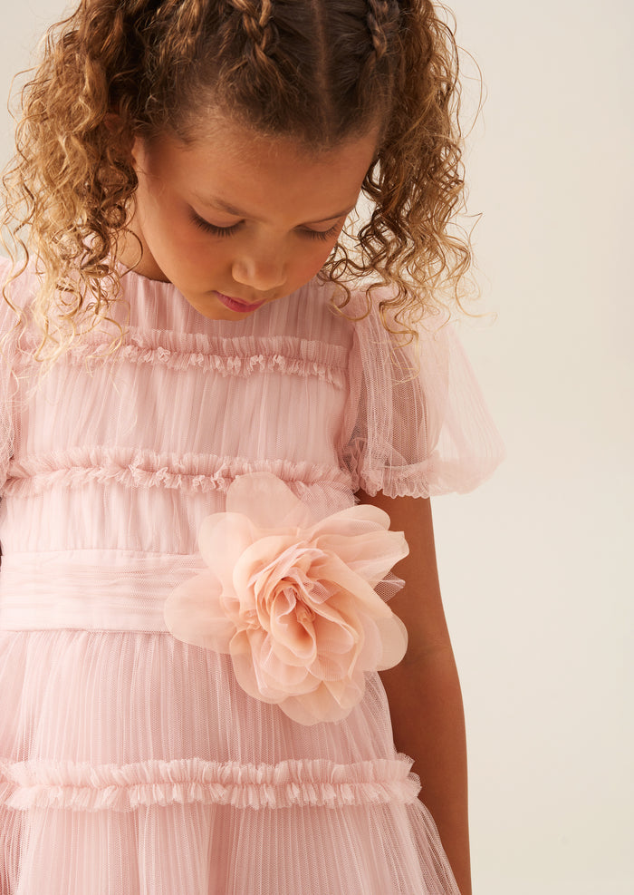 Clara Pink Pleated Mesh Corsage Dress