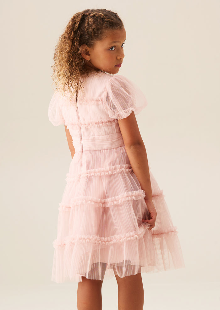 Clara Pink Pleated Mesh Corsage Dress