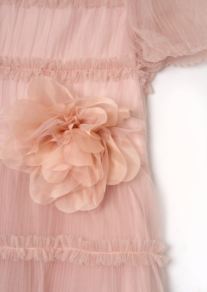 Clara Pink Pleated Mesh Corsage Dress