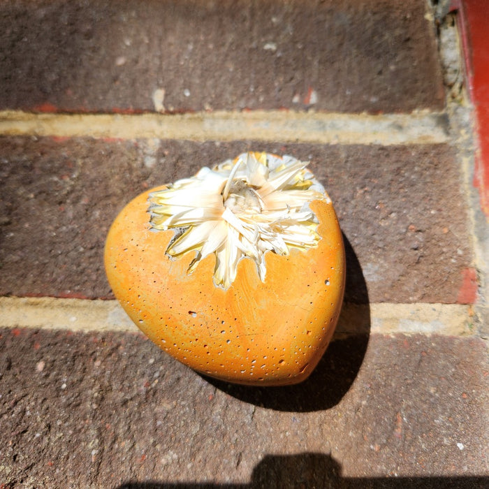 Melon