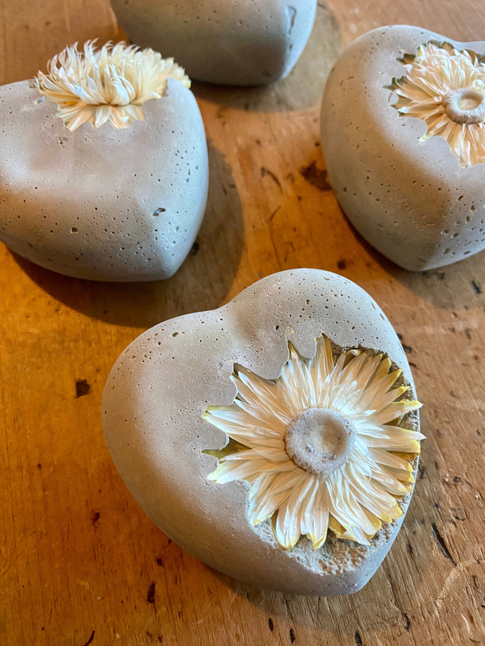 Concrete Love Heart with Petrified White Strawflower