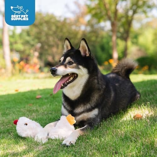 Crinkle Chicken Dog Toy Toys Pet Clever
