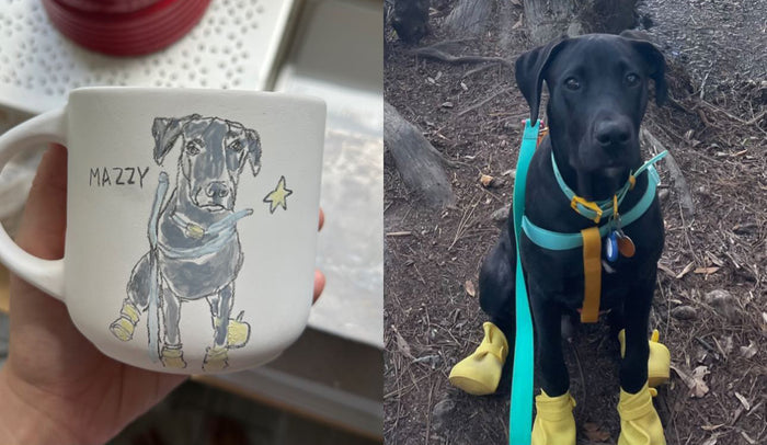 Custom Pet Portrait Mug
