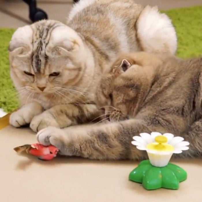 Cute Electric Butterfly/HummingBird Cat Teaser Toy Cat Toys Pet Clever