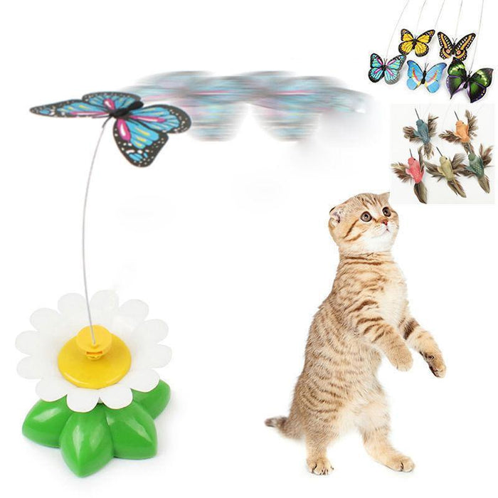 Cute Electric Butterfly/HummingBird Cat Teaser Toy Cat Toys Pet Clever