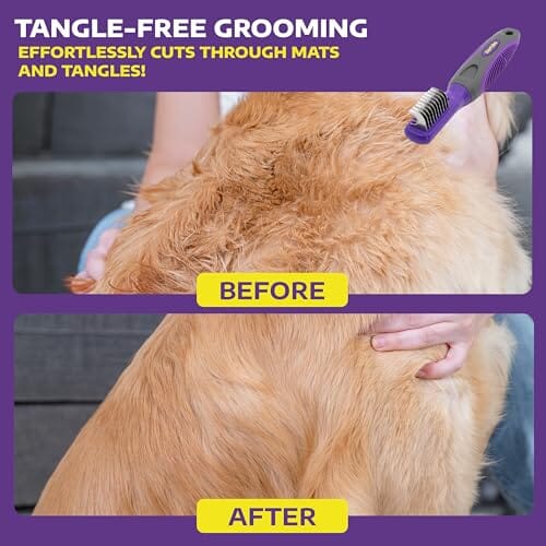 Dog Brush for Tangles and Knots for Long and Short Haired Dogs Dog Combs Pet Clever