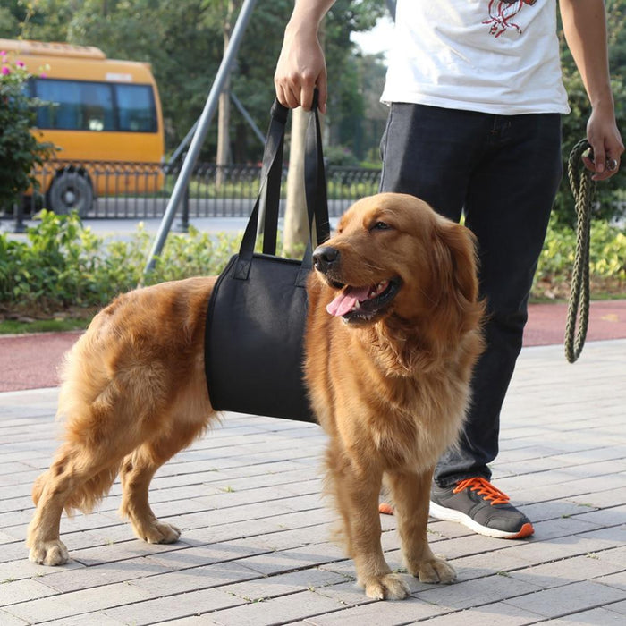 Dog Lift Support Aid Assist Sling Dog Harness Pet Clever